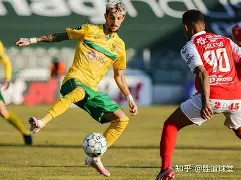 南特主场大胜，法甲保级形势稍有起色的简单介绍