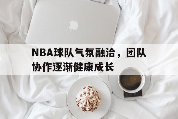 NBA球队气氛融洽，团队协作逐渐健康成长的简单介绍