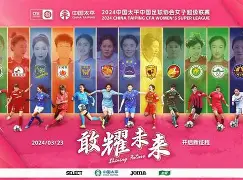 国内女足联赛：强队角逐冠军争夺战激烈热血的简单介绍