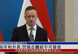 关于匈牙利凭借进球领先，拉脱维亚主帅急眼的信息